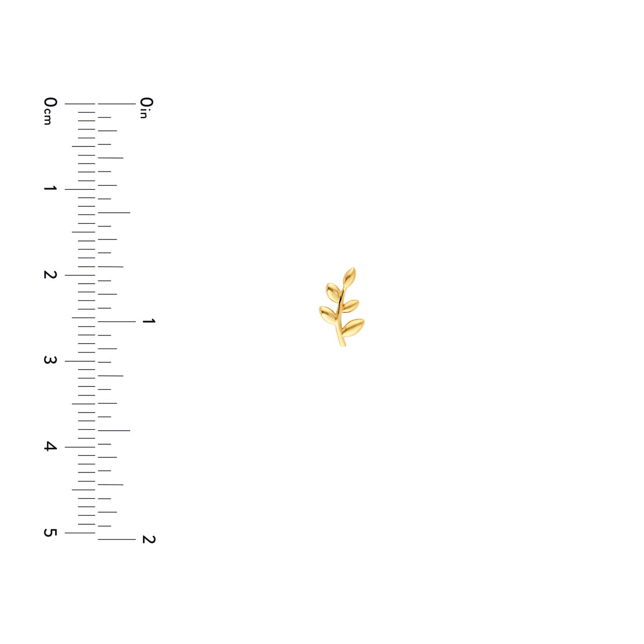 14KY Olive Leaf Stud